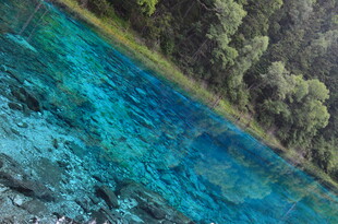 清澈蓝绿水边的葱郁树林