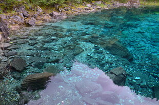 清澈见底的梦幻海底世界