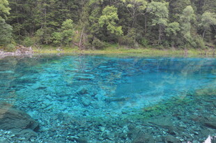 清澈蓝湖 水底景致迷人