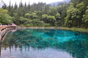 九寨沟绝美清澈蓝湖风光