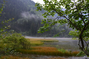 山间晨雾中的清新自然景