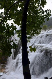 山间瀑布旁的葱郁树木
