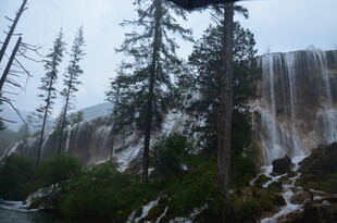 山间瀑布旁的挺拔树木
