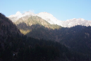 壮丽山景 阳光洒照山林