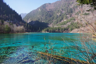 九寨沟绝美清澈蓝湖风光