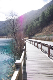 湖畔木栈道美景