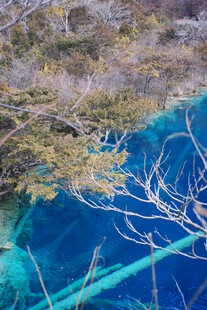 蓝湖美景 林间澄澈碧水