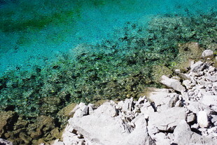 清澈海底与白色珊瑚景观