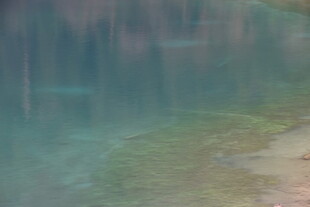 水下世界的朦胧景象