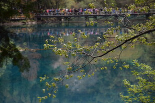 湖畔春色 桥上行人赏景