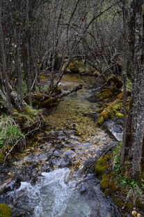 山间溪流 自然野趣之景