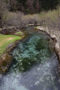 山间清澈溪流美景