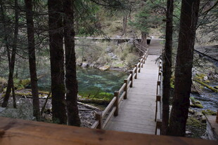 林间木栈道 邂逅自然之美