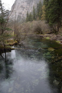 山间溪流旁的自然美景