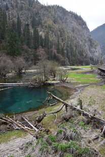 山间幽蓝湖泊与枯木景观