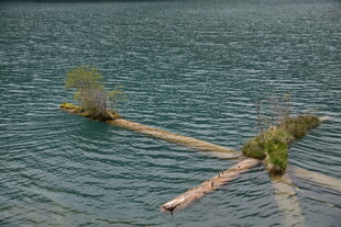 水中木筏绿植景观