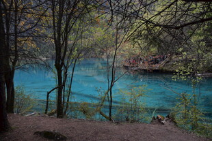 森林中的幽蓝清澈湖水