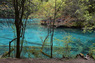 蓝绿色林间湖水美景