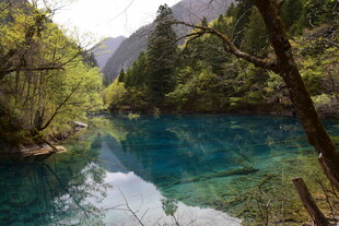 九寨沟的清澈幽美湖泊