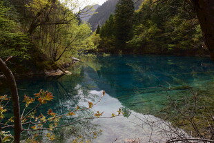 山间幽蓝清澈的静谧溪流