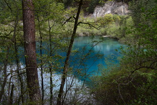 森林中的幽蓝澄澈湖泊