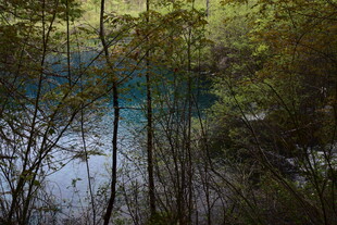 林间幽蓝湖水景色