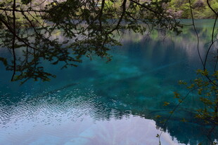 梦幻蓝湖 枝叶掩映之美