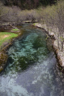 清澈溪流穿林而过