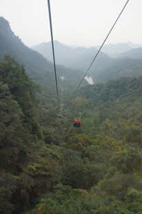 山间缆车穿梭于翠绿山林