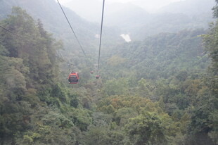 山间缆车穿梭茂密丛林