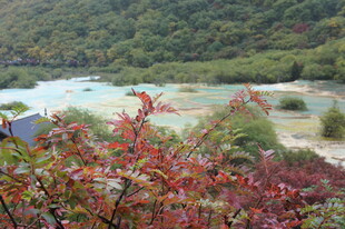 山间红叶与多彩景致