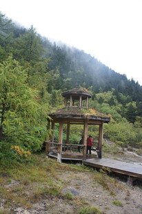 山间凉亭 隐于葱郁绿意中