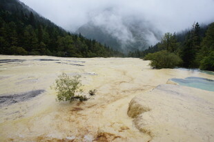 山间独特地貌与孤植景致