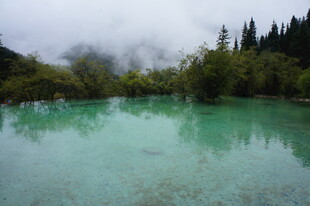 翠绿湖水与葱郁山林景观