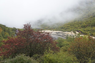 山间云雾中的多彩植被