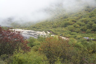 山间植被与云雾景观