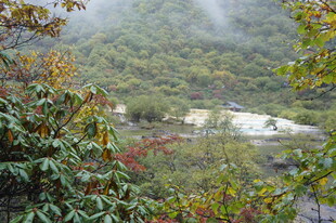 山间雾景中的多彩植被