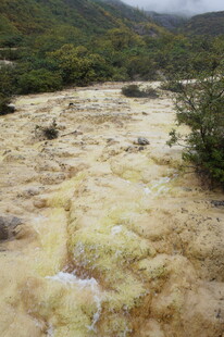 山间泥泞溪流景观