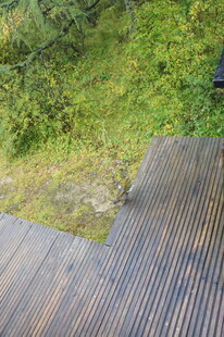 木质平台旁的葱郁自然景