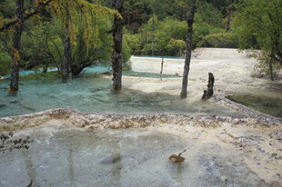 山间清澈水域与繁茂树木