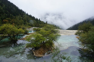 山间秀丽溪流景观