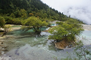 九寨沟秀丽多彩的湖水景观