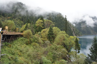 山间栈道旁的湖景风光