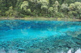 梦幻蓝湖 森林环绕之景
