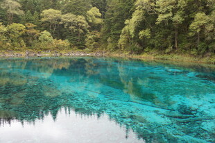 梦幻蓝湖 四周绿植环绕