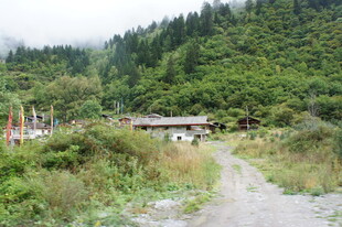 山间村落的质朴乡间小路