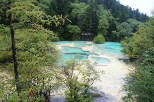 九寨沟蓝绿色溪流美景