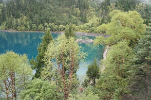 山林环绕的静谧蓝色湖泊