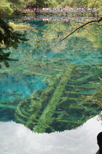 清澈湖底的神秘木质结构