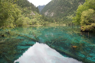 九寨沟绝美清澈湖水景观